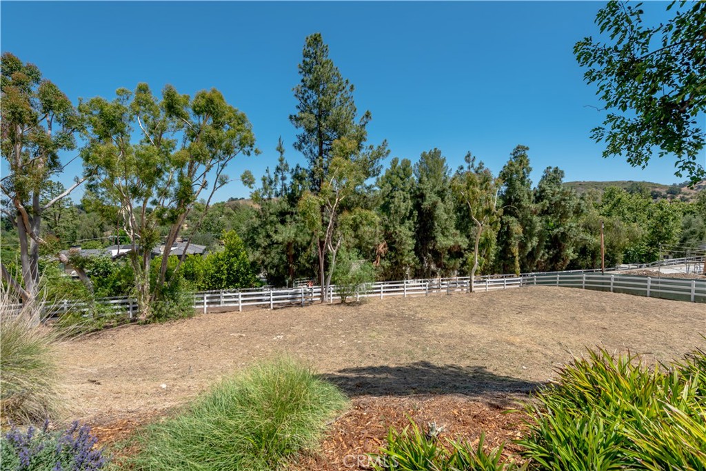 24884 Jim Bridger Road Hidden Hills, CA 91302 - Photo 29 of 31 a view of a yard with a tree