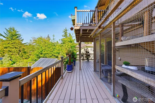 a view of a garden with plants