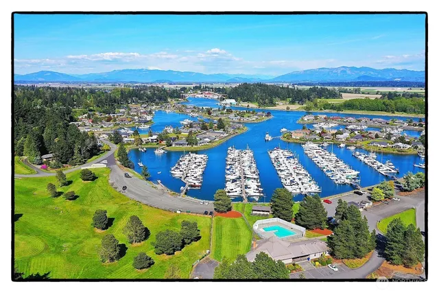 a view of a swimming pool with a yard