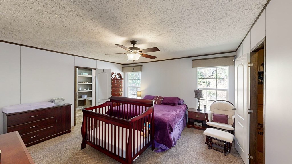 5009 Mathis Branch Road Cosby, TN 37722 - Photo 9 of 21 Gallery Image 9