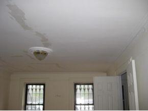 818 Halsey Street Brooklyn, NY 11233 - Photo 3 of 3