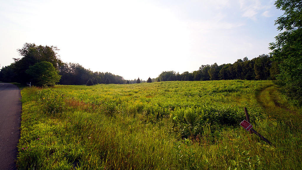 Lot 9-1 New Limerick Road Houlton, ME 04730 - Photo 23 of 40 leisner-maine-land-11
