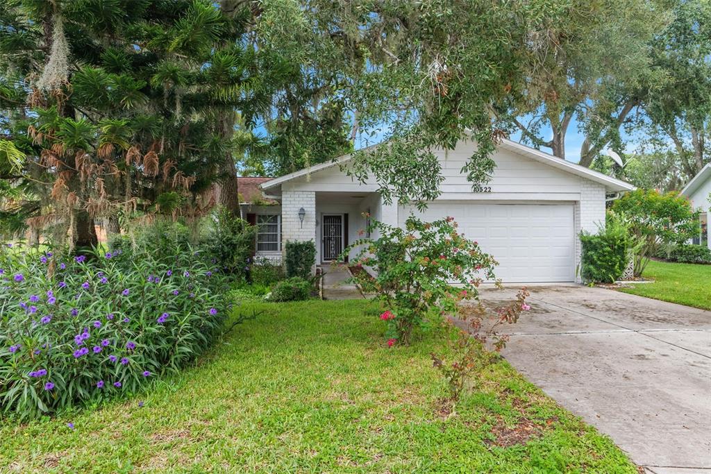 10522 Calico Loop Port Richey, FL 34668 - Photo 1 of 1 Gallery Image 1