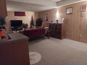 2024 Grove Avenue Racine, WI 53405 - Photo 46 of 60 LL Rec Room