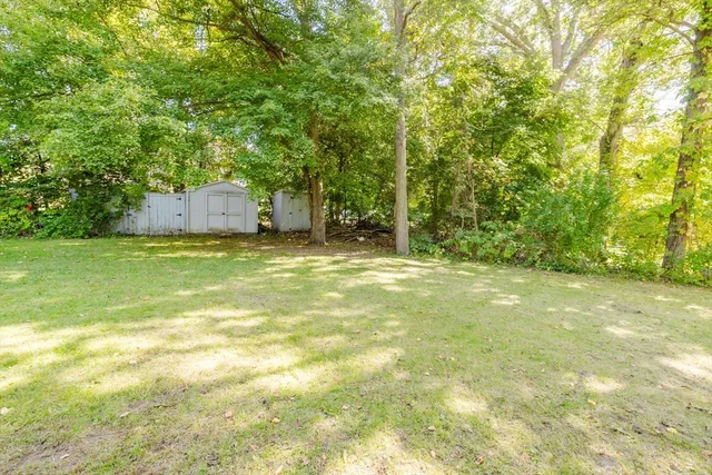 a view of a yard with a trees