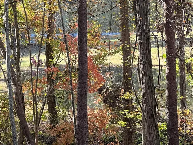 $98,000 | 1 Bartin Ridge, Murphy, NC 28906