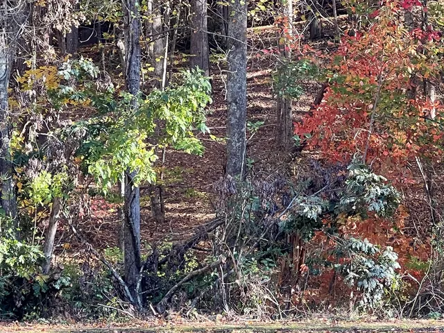 $98,000 | 1 Bartin Ridge, Murphy, NC 28906