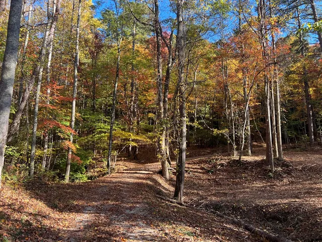 $98,000 | 1 Bartin Ridge, Murphy, NC 28906