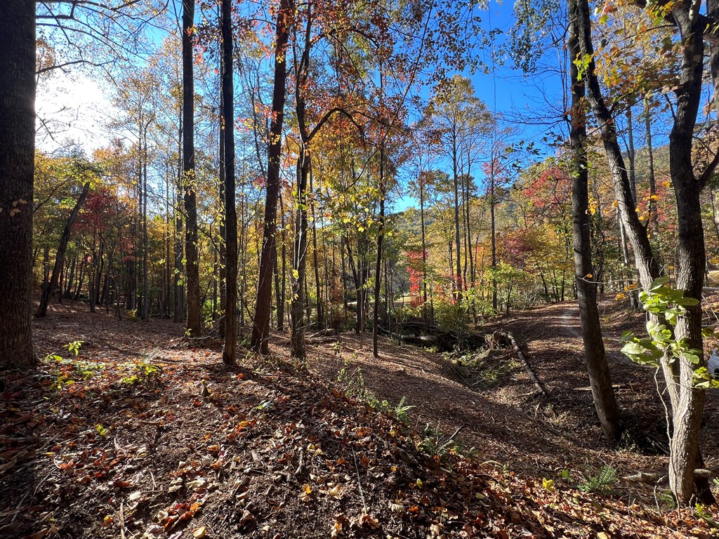 1 Bartin Ridge Murphy, NC 28906 - Photo 15 of 38