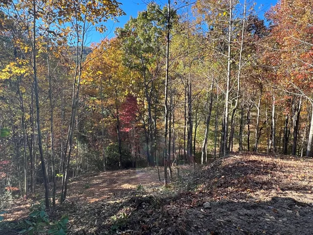 $98,000 | 1 Bartin Ridge, Murphy, NC 28906