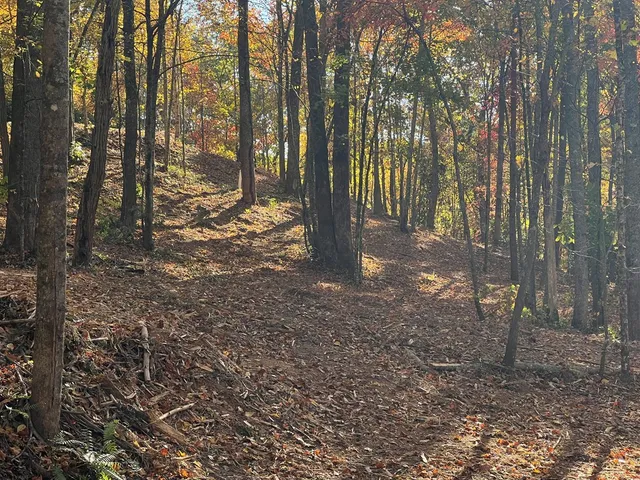 $98,000 | 1 Bartin Ridge, Murphy, NC 28906