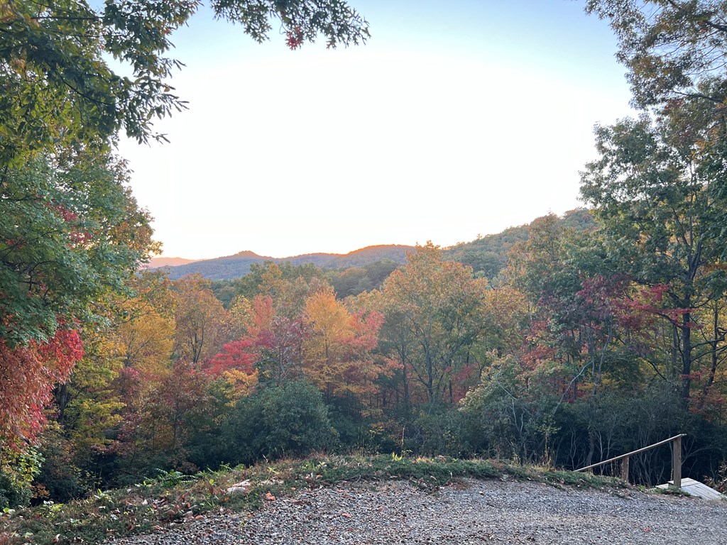 1 Bartin Ridge Murphy, NC 28906 - Photo 3 of 38