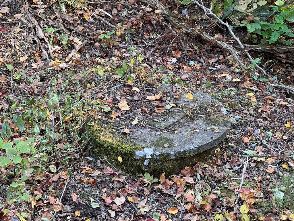 1 Bartin Ridge Murphy, NC 28906 - Photo 36 of 38