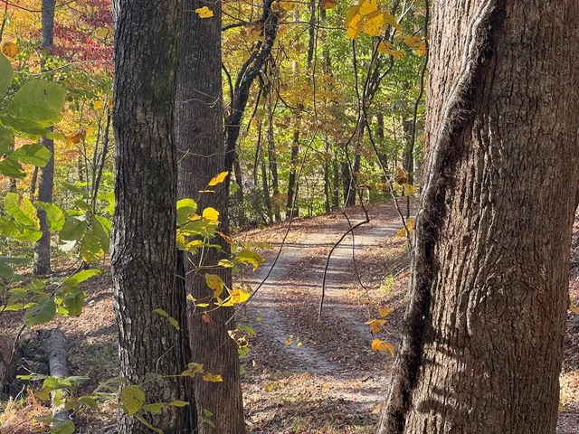 $98,000 | 1 Bartin Ridge, Murphy, NC 28906