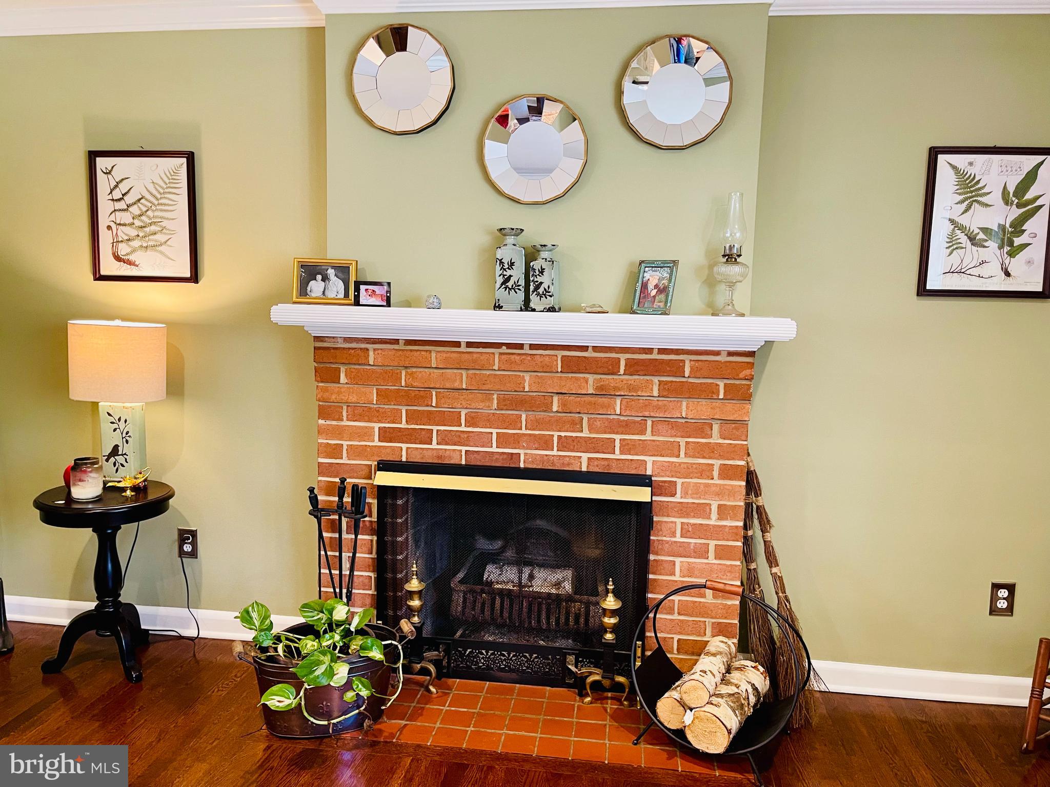 1909 Courtland Road Alexandria, VA 22306 - Photo 8 of 63 Fireplace