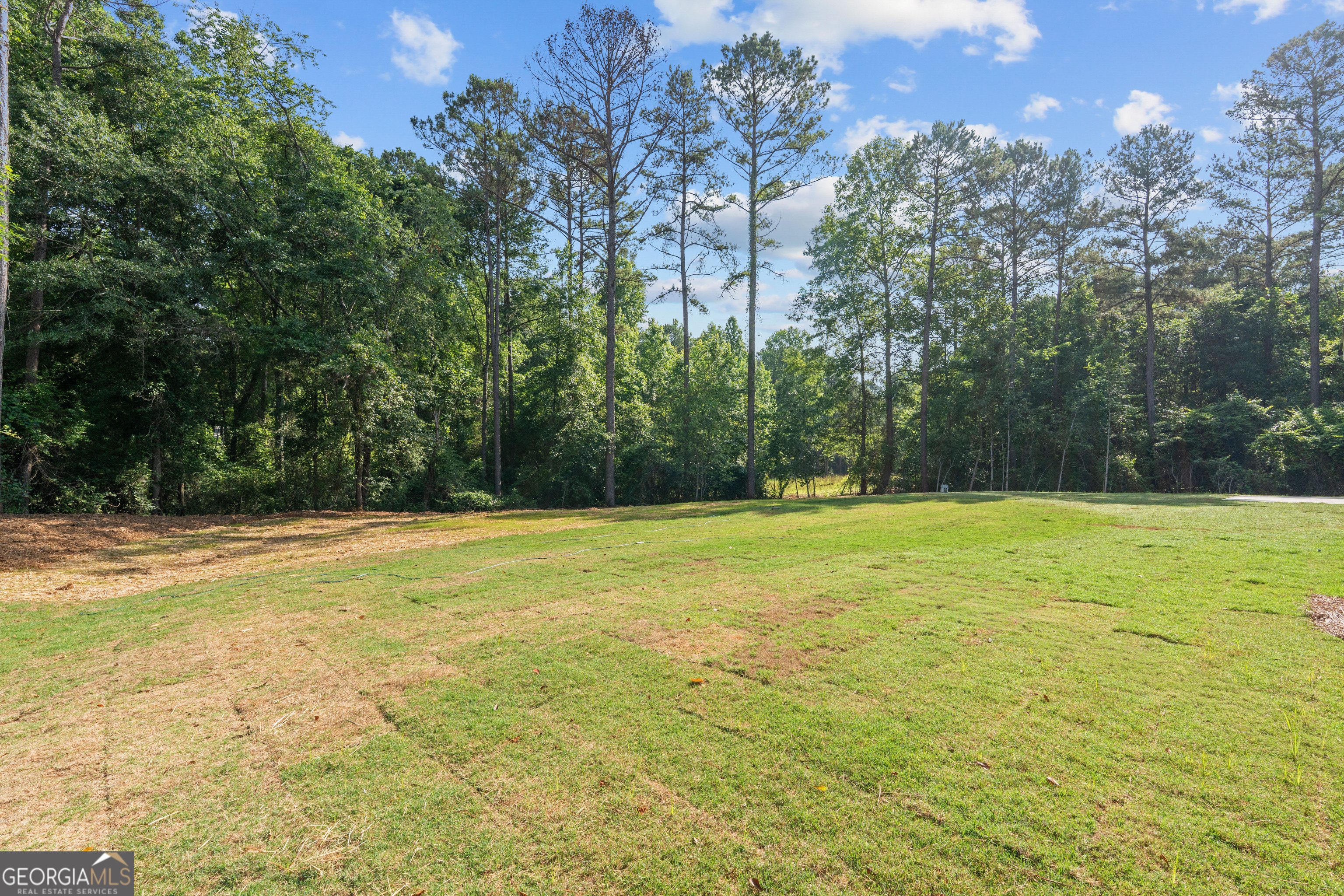 135 Martin Cemetery Road Carrollton, GA 30117 - Photo 56 of 57