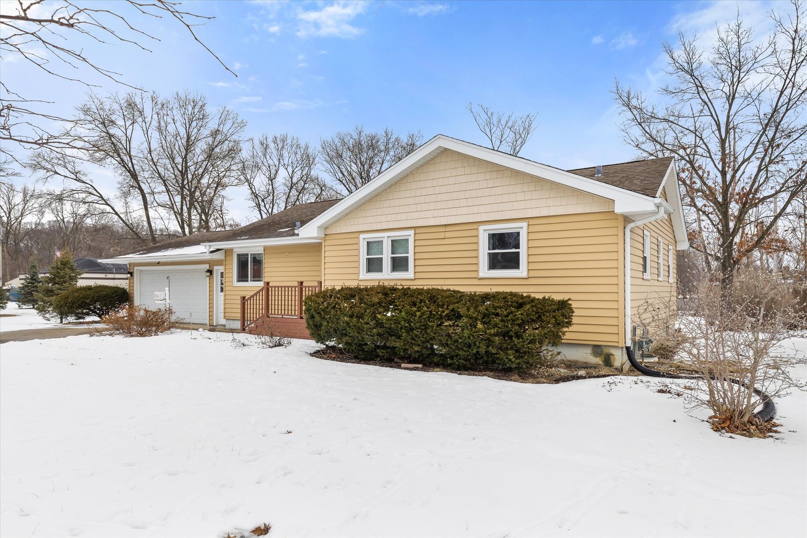 1225 Douglas Lane Crete, IL 60417 - Photo 3 of 36