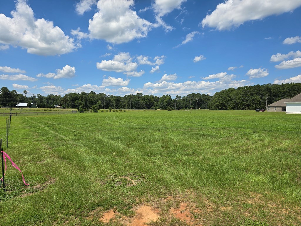 1.43-acres Sage Road Ashford, AL 36312 - Photo 7 of 9