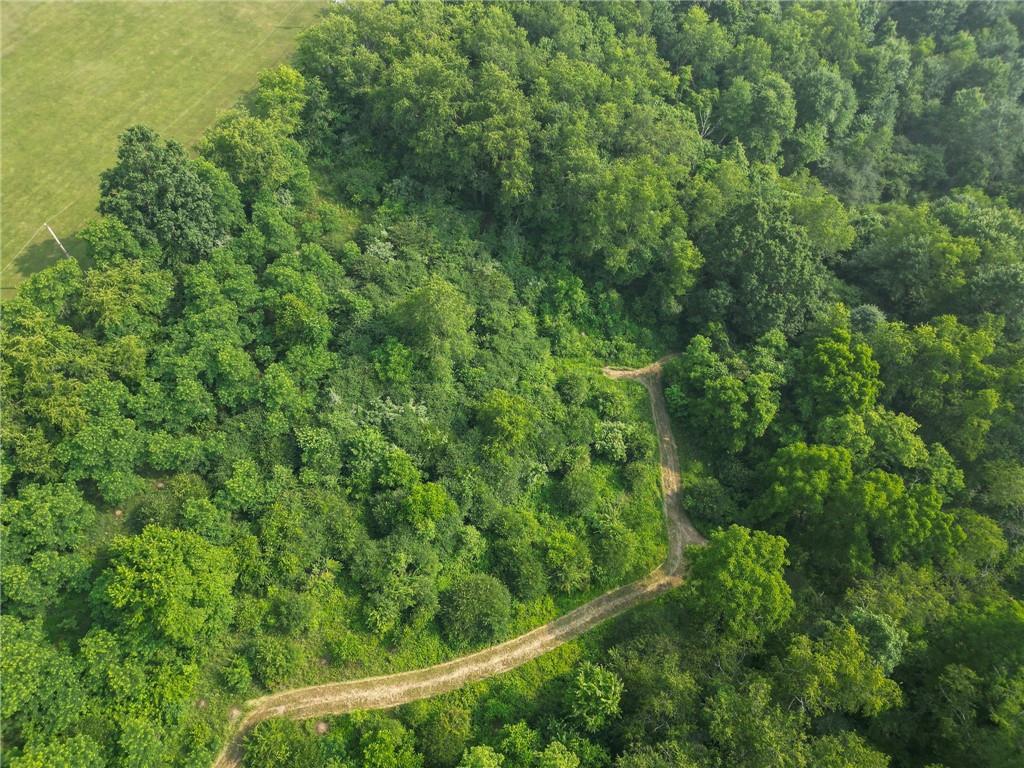 667 Ridge Road Georgetown, PA 15043 - Photo 25 of 27 a view of a forest with a street