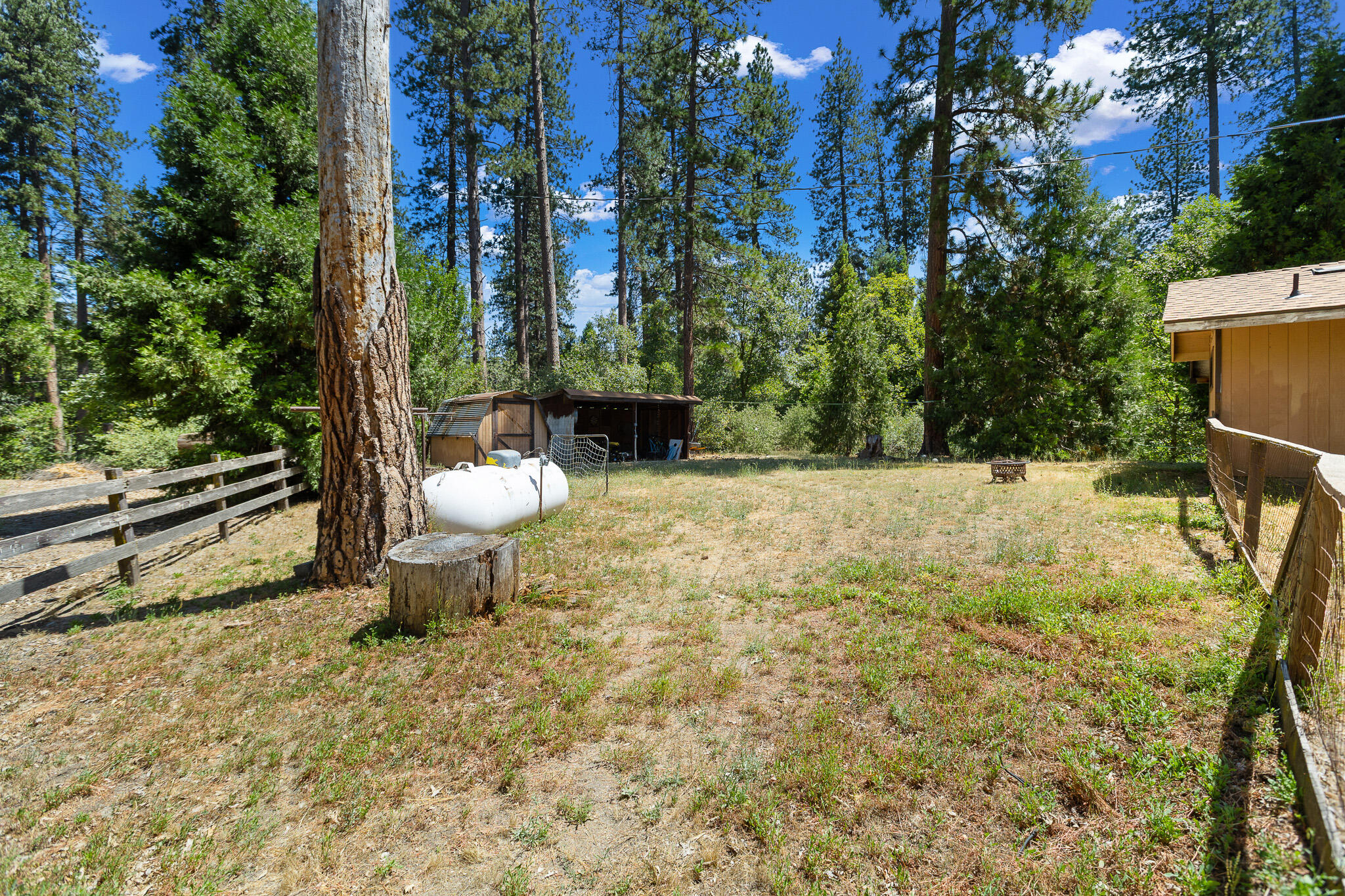 45000 Manter Meadow Road California Hot Springs, CA 93207 - Photo 35 of 38 48 Backyard