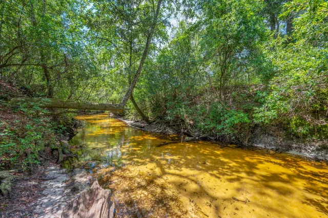 a view of a swimming pool with an outdoor space