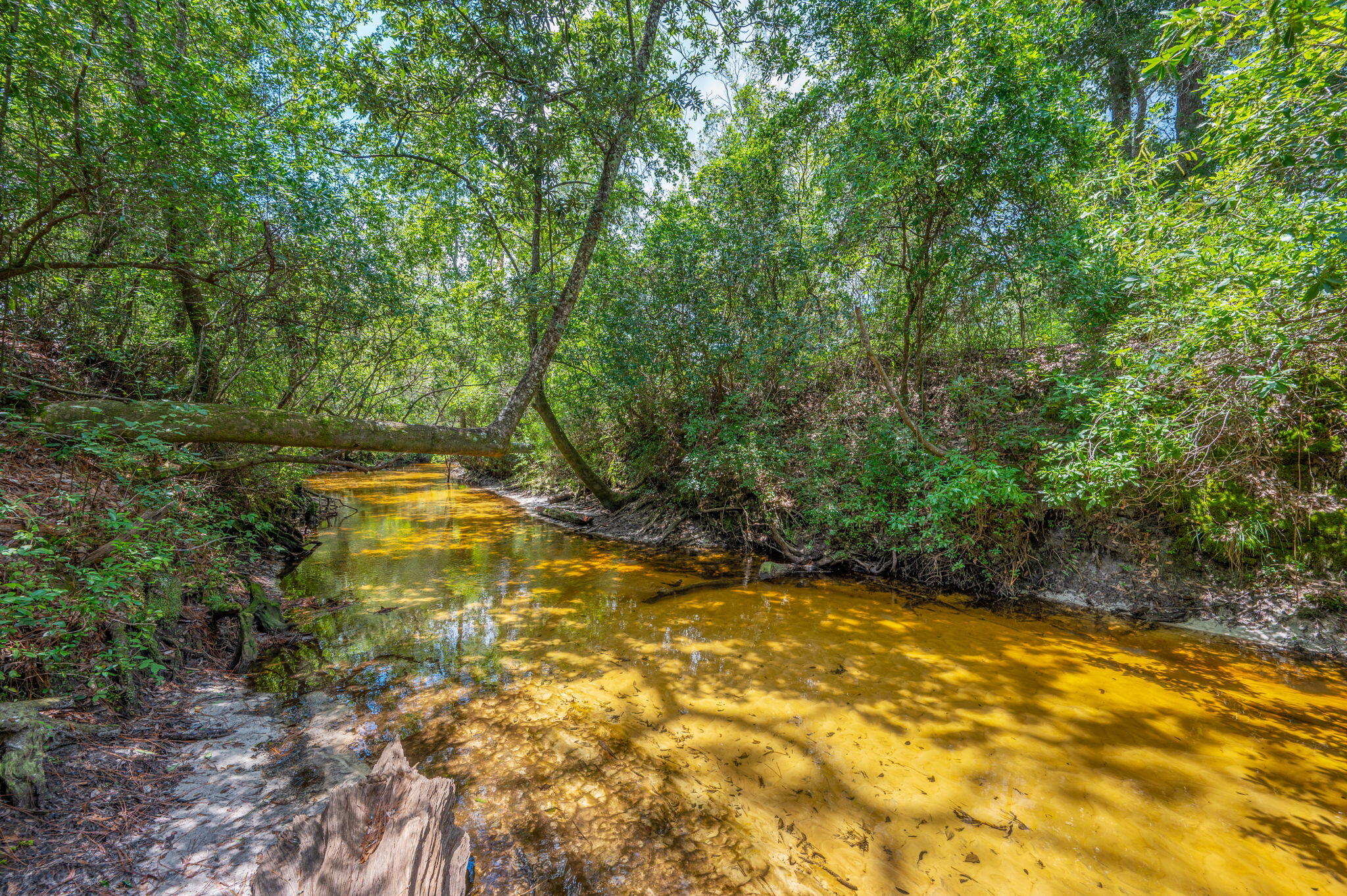 54 Wing Road Wing, AL 36483 - Photo 2 of 50 a view of a swimming pool with an outdoor space