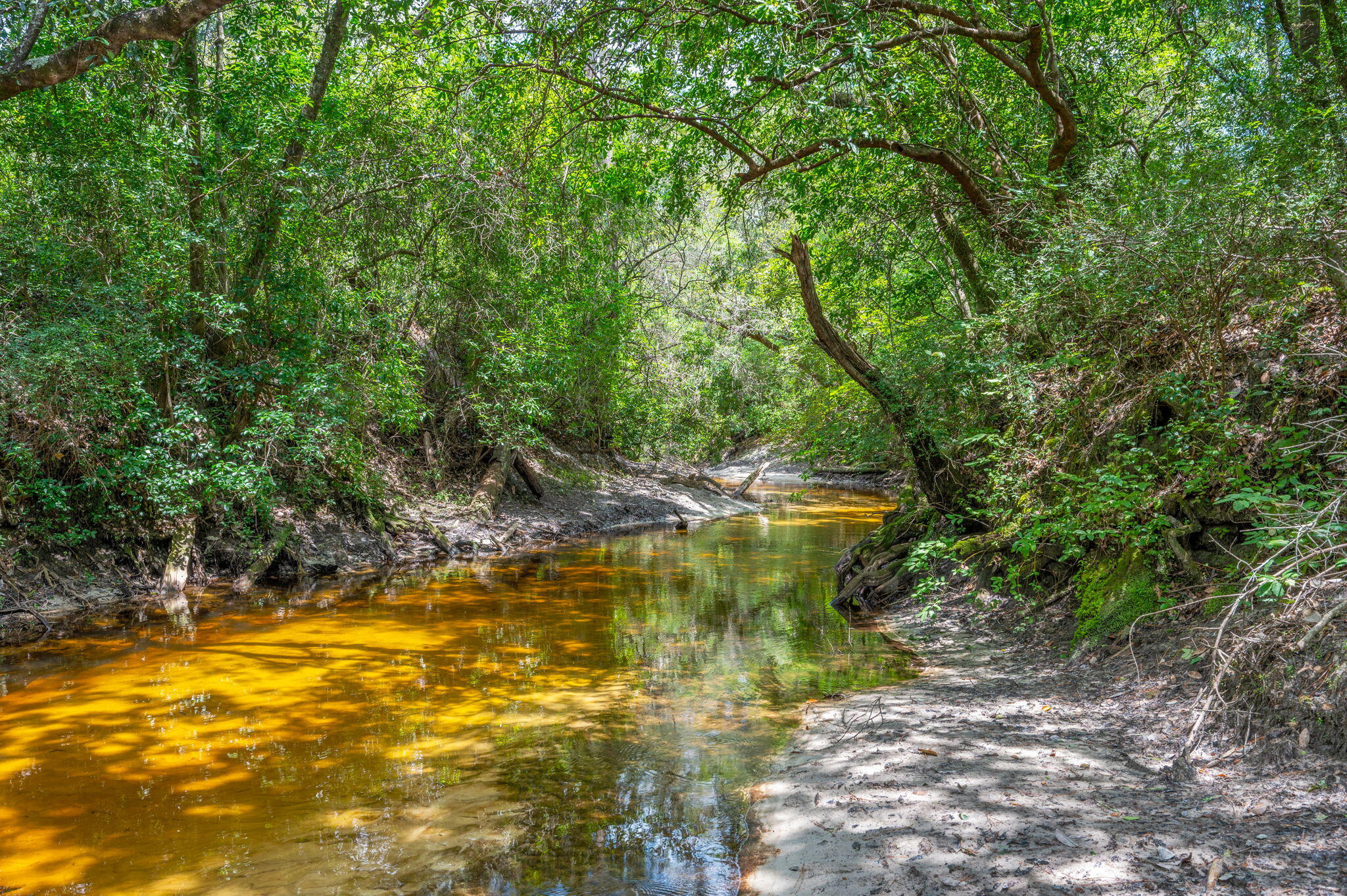 54 Wing Road Wing, AL 36483 - Photo 23 of 50 a view of a swimming pool with an outdoor space