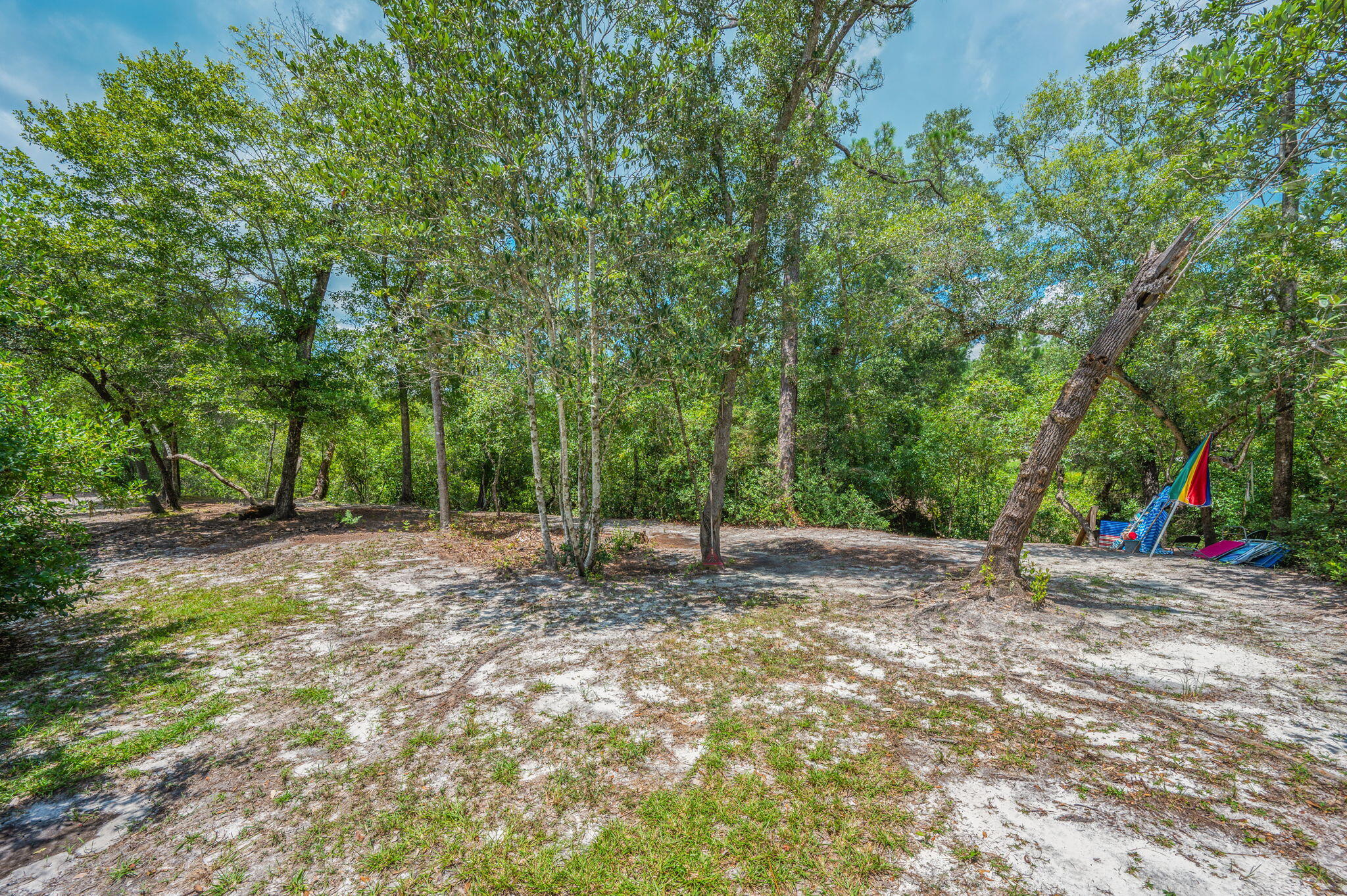 54 Wing Road Wing, AL 36483 - Photo 26 of 50 a backyard of a house with lots of green space