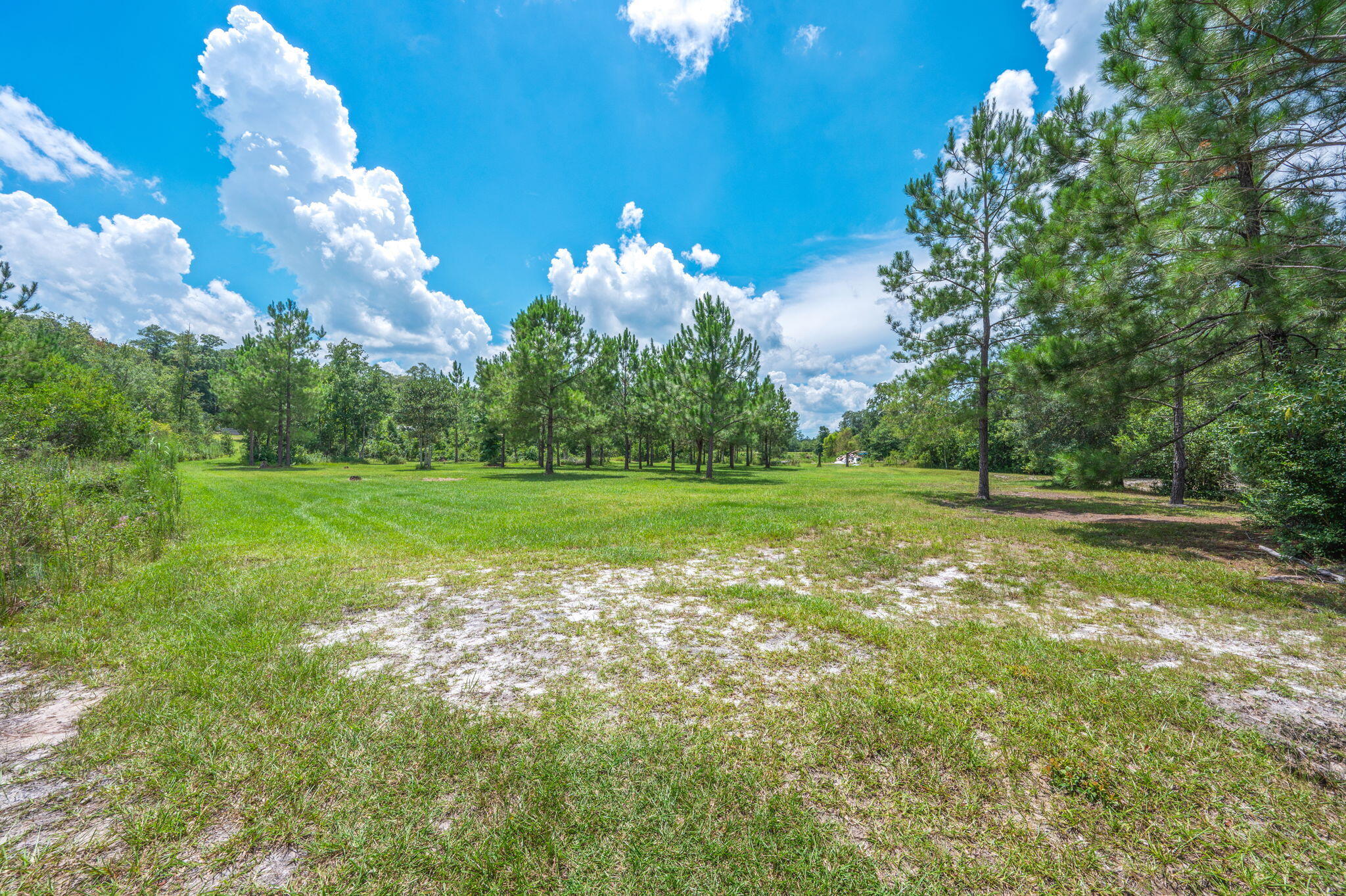 54 Wing Road Wing, AL 36483 - Photo 27 of 50 a view of a fountain in a yard with large trees