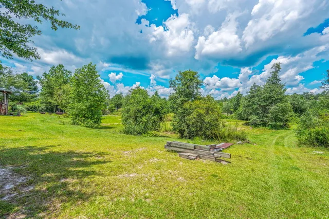 a view of a park with large trees