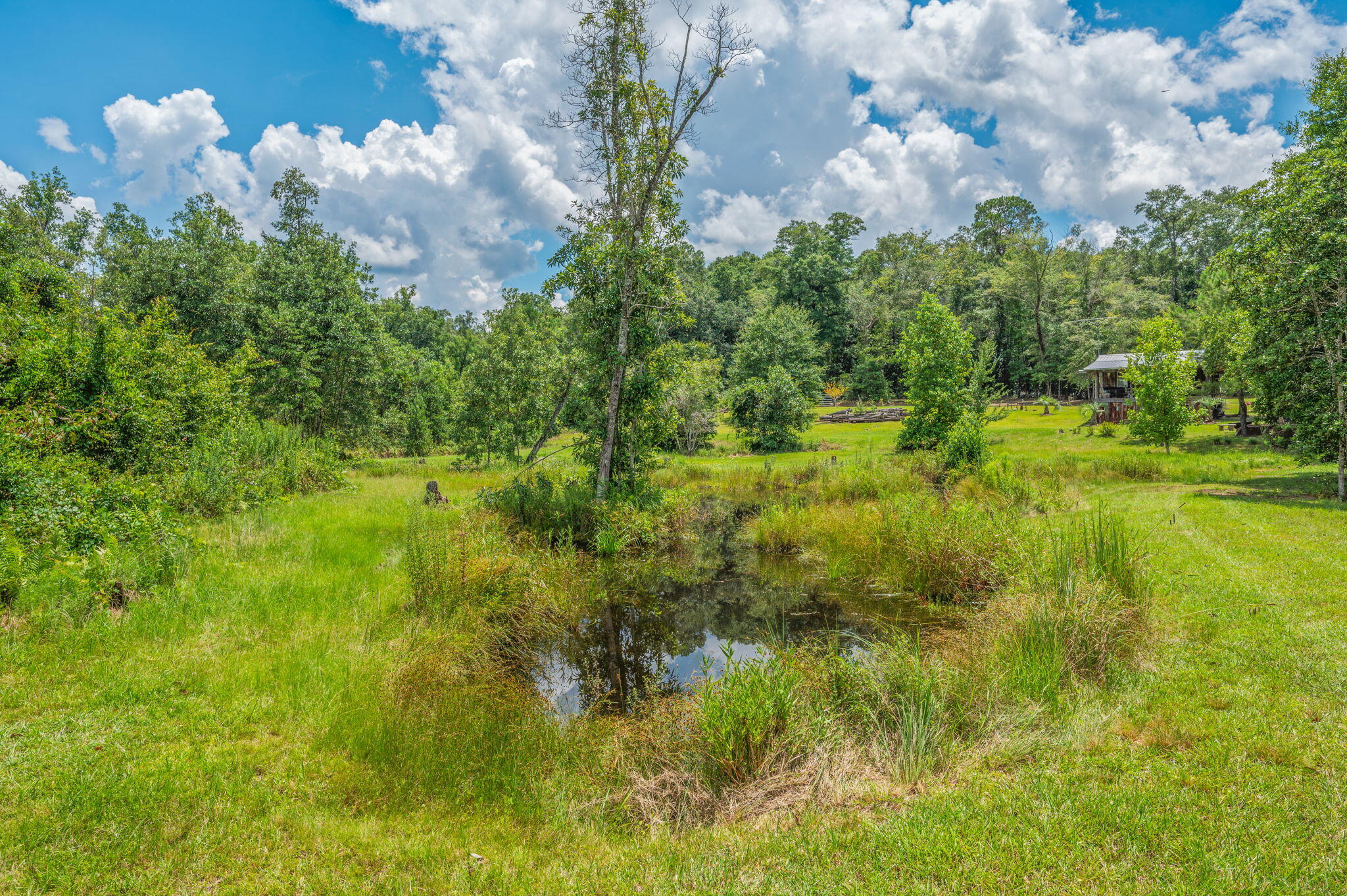 54 Wing Road Wing, AL 36483 - Photo 33 of 50 a night view of a bunch of trees in a yard