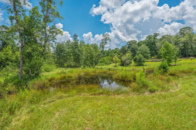 a view of a backyard with a small cabin