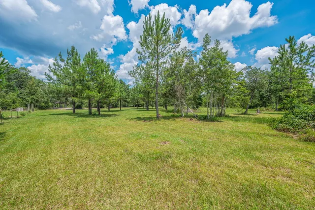 a view of a back yard