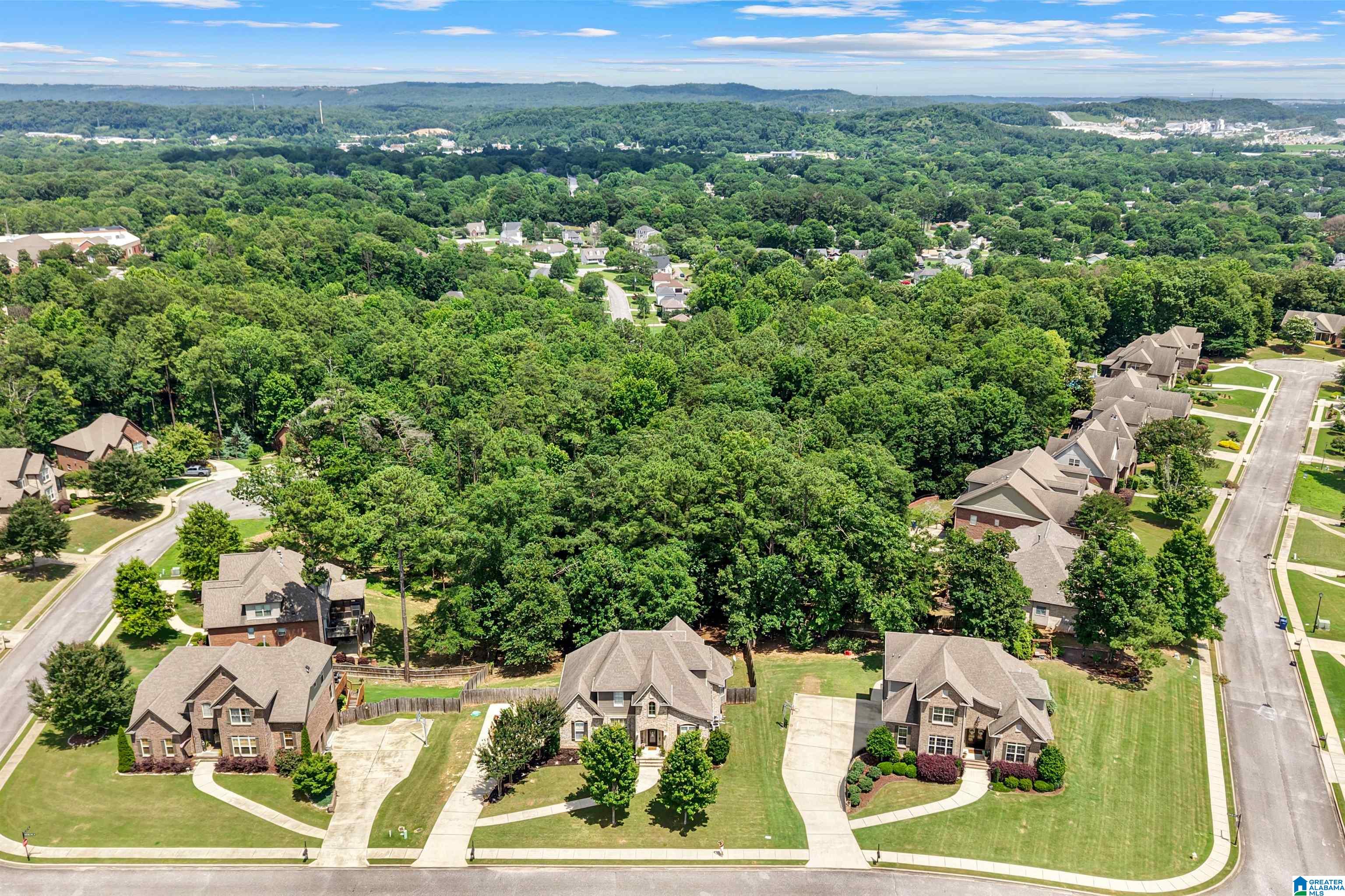 220 Sterling Gate Lane Alabaster, AL 35007 - Photo 50 of 67