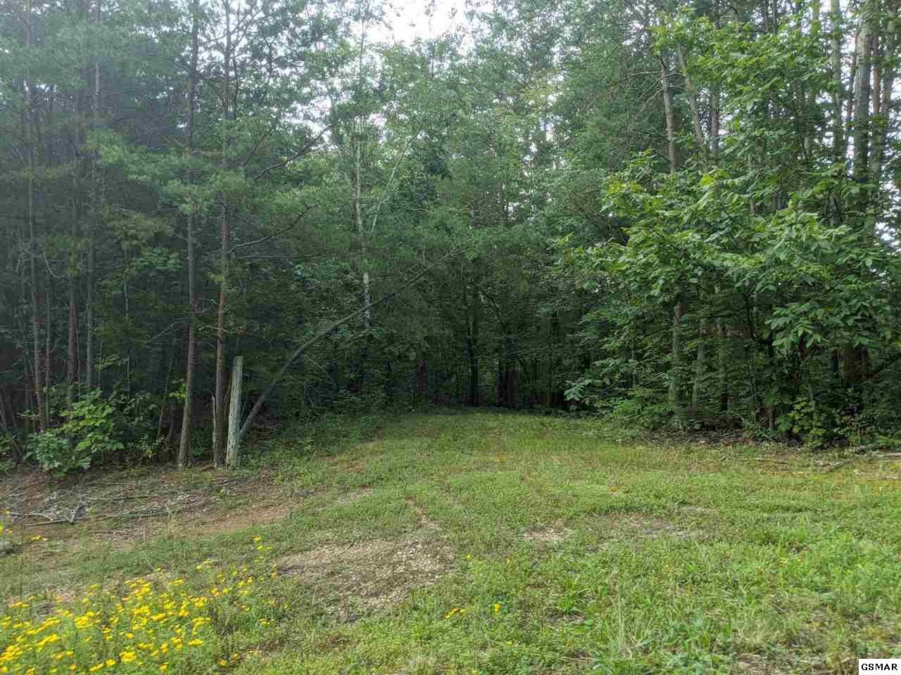 0 Blue Springs Road Strawberry Plains, TN 37871 - Photo 16 of 31 Gallery Image 16