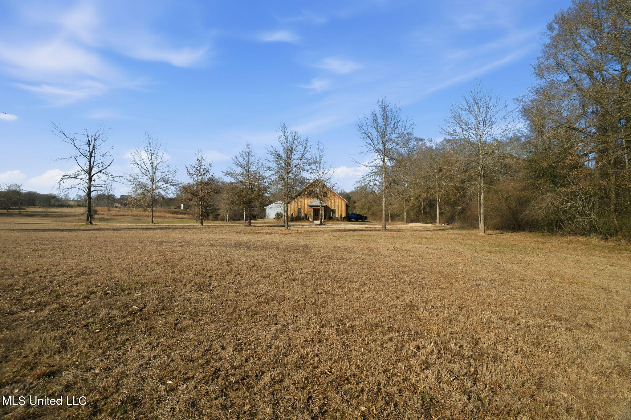 4 Hughes Road Collins, MS 39428 - Photo 3 of 40 4_Hughes_Rd-3