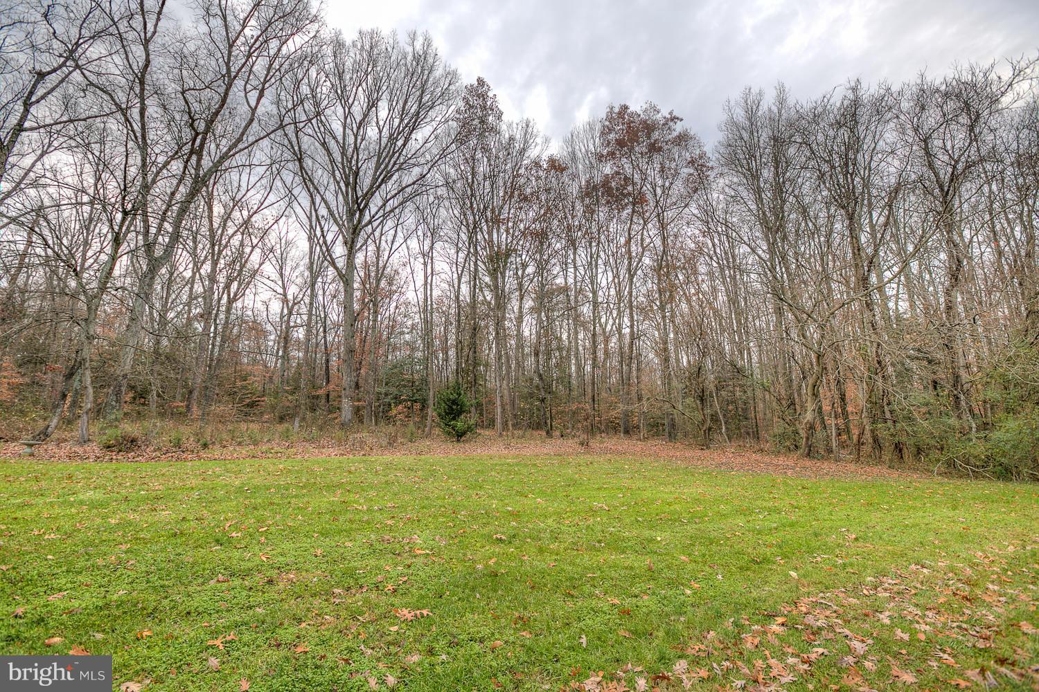 306 Colebrook Road Fredericksburg, VA 22405 - Photo 26 of 29 Exterior (Rear)