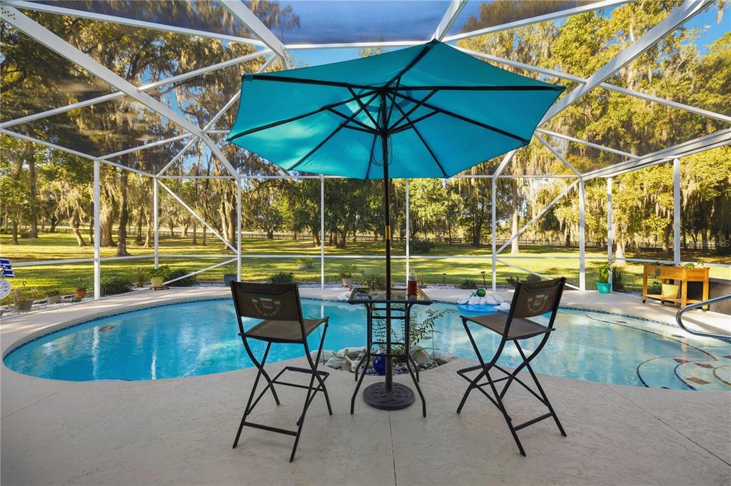 700 Southwest 89th Terrace Ocala, FL 34481 - Photo 40 of 94 a view of chairs and table in the patio