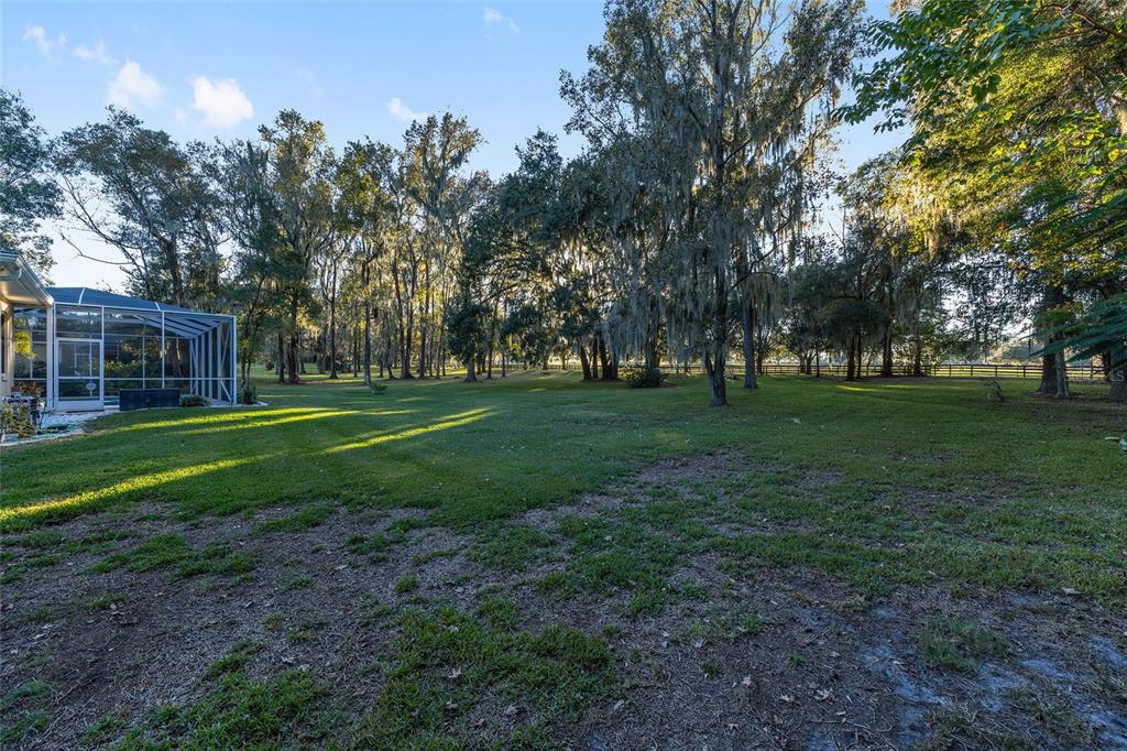 700 Southwest 89th Terrace Ocala, FL 34481 - Photo 60 of 94 a view of a park with large trees
