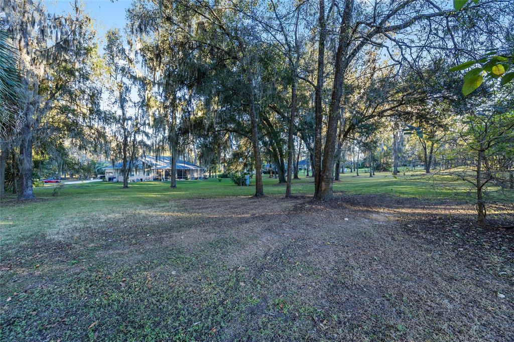 700 Southwest 89th Terrace Ocala, FL 34481 - Photo 62 of 94 a view of a park with large trees