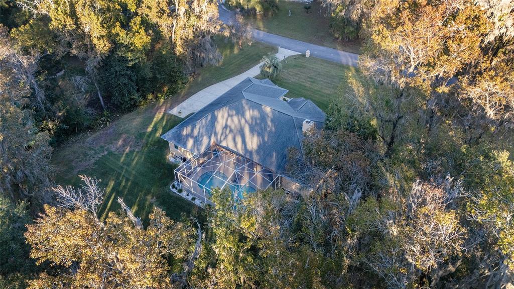 700 Southwest 89th Terrace Ocala, FL 34481 - Photo 85 of 94 a view of a house in a forest