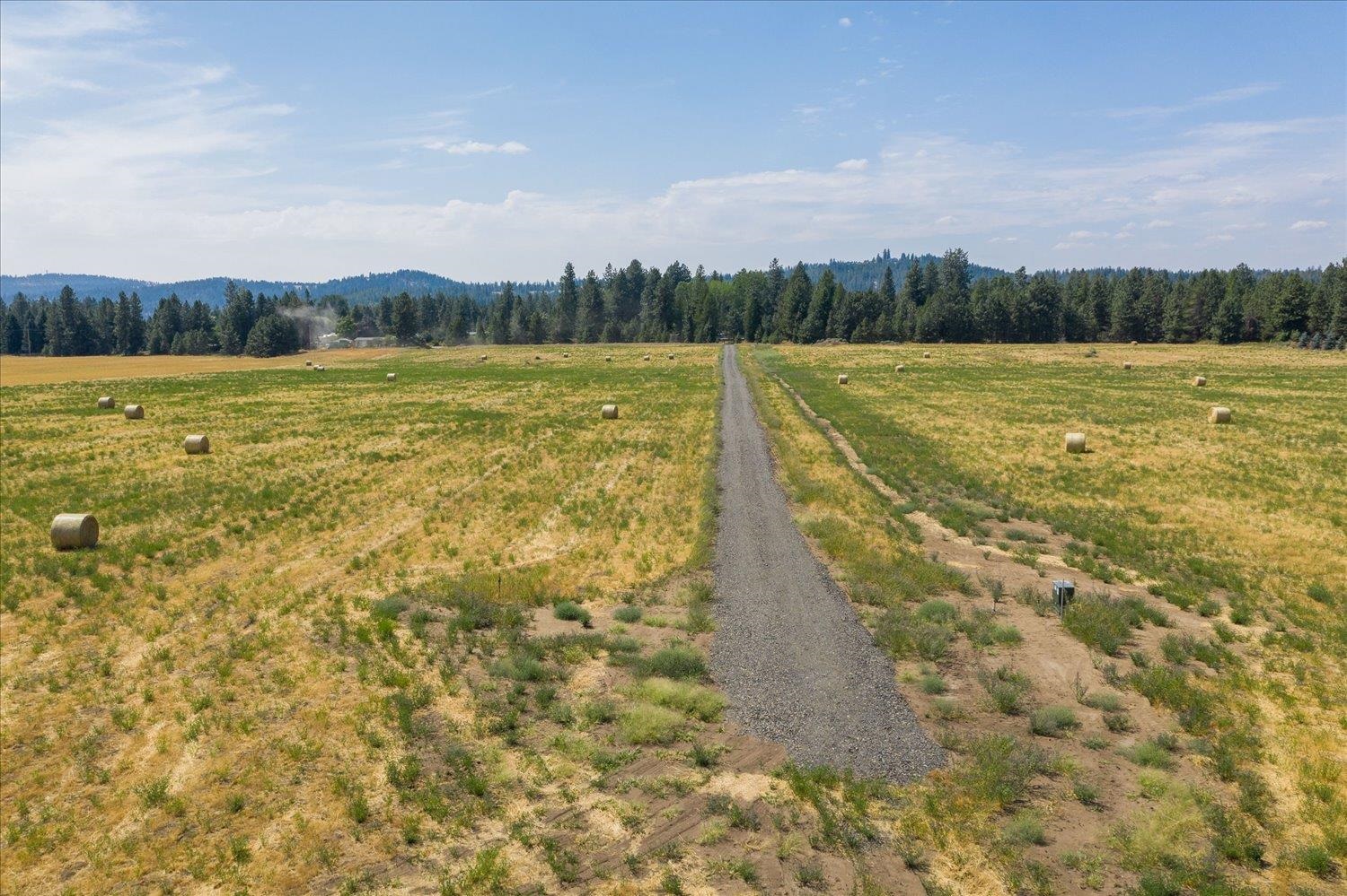20000 North Cedar Road Colbert, WA 99005 - Photo 8 of 23