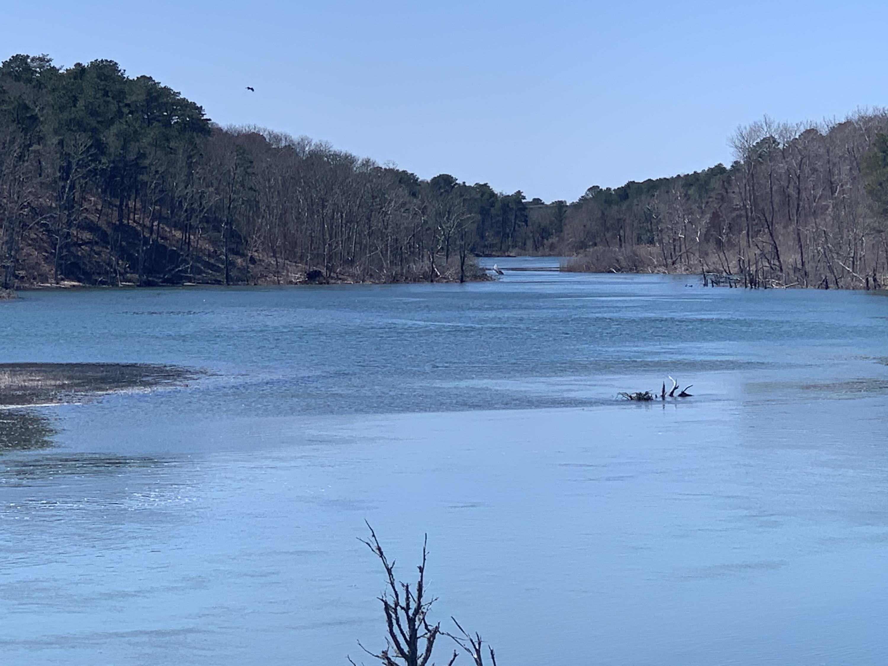 265 Bay Road Harwich, MA 02645 - Photo 33 of 38 a view of a yard