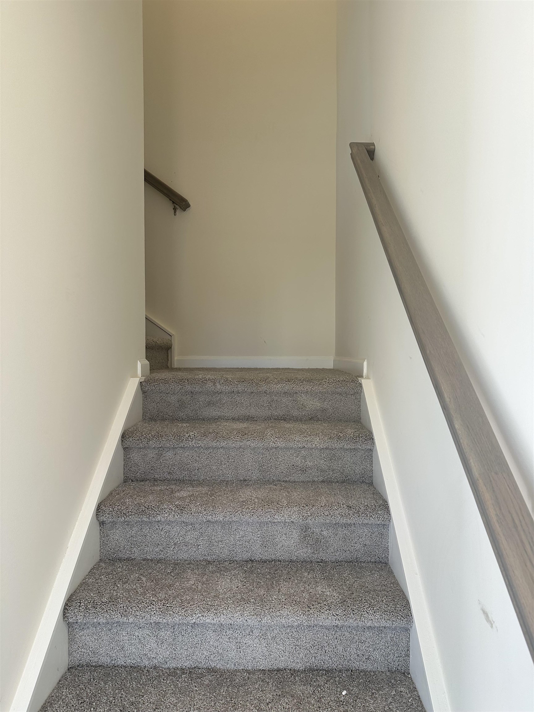 931 Gibbons Street Lyman, SC 29365 - Photo 33 of 47