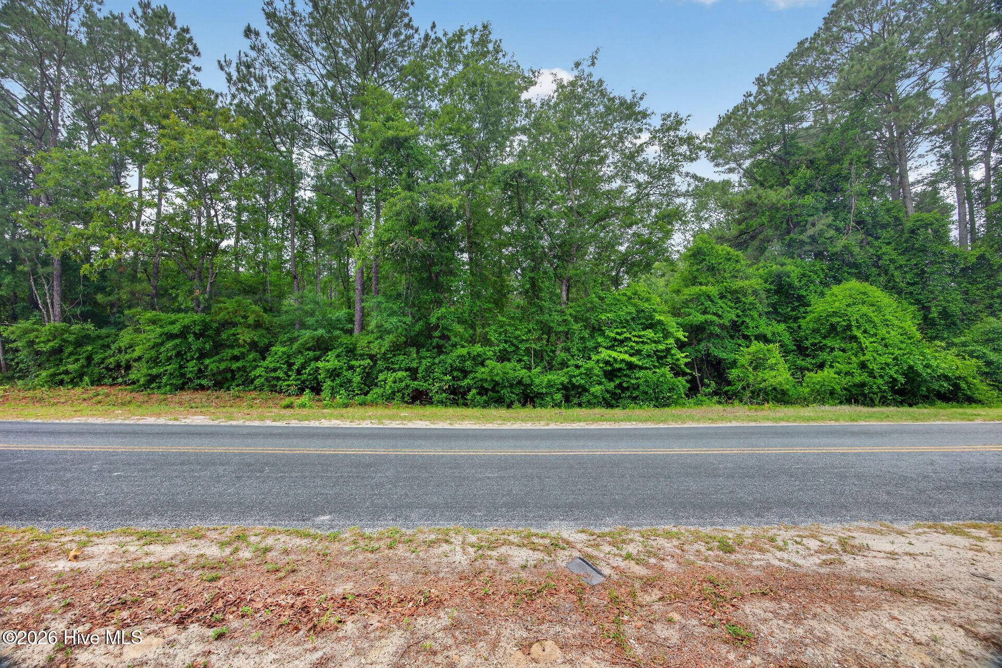 0 Point Caswell Road Atkinson, NC 28421 - Photo 6 of 16 PointCaswellRoadLot-2