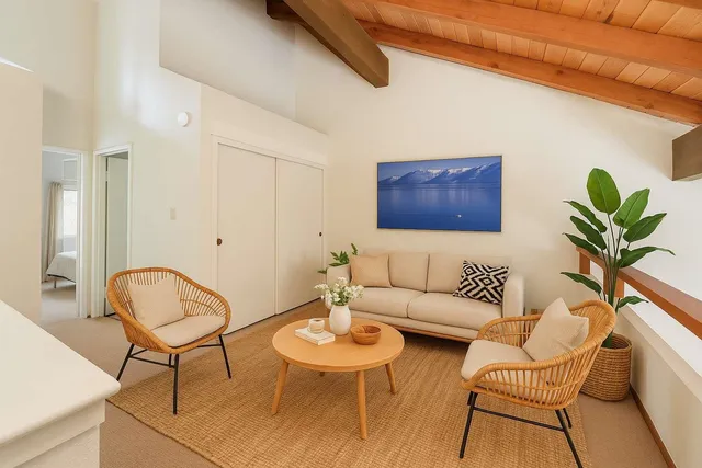 a living room with furniture a rug and a potted plant