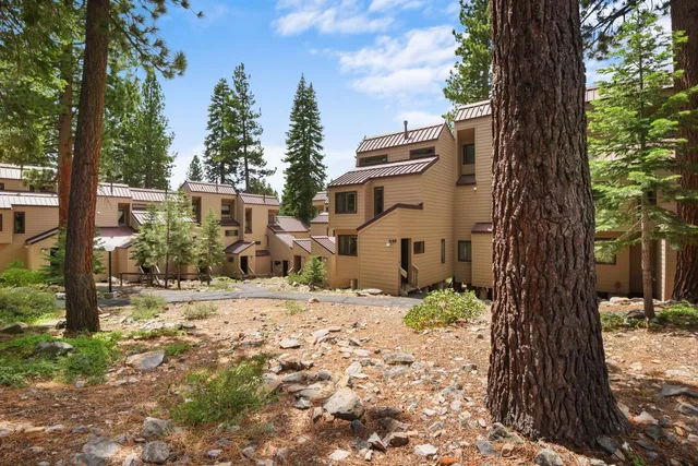 a view of a yard with plants and trees beside of it