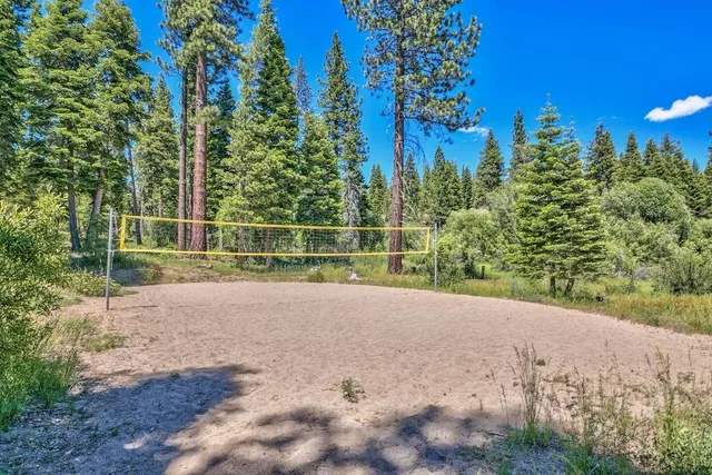a view of a field with a tree in the background