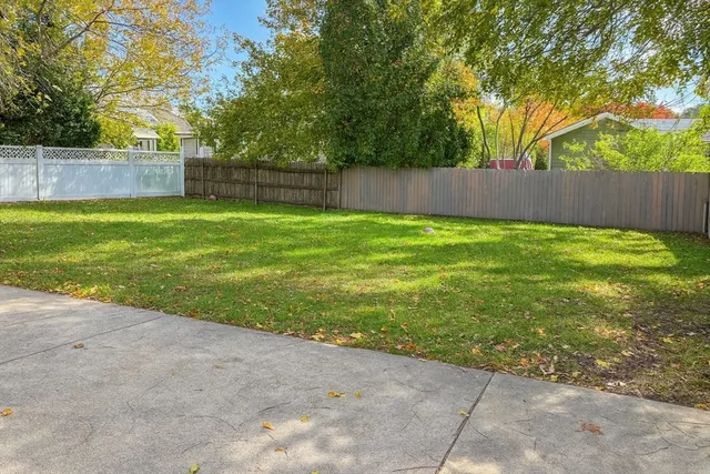 a view of a yard with tree s