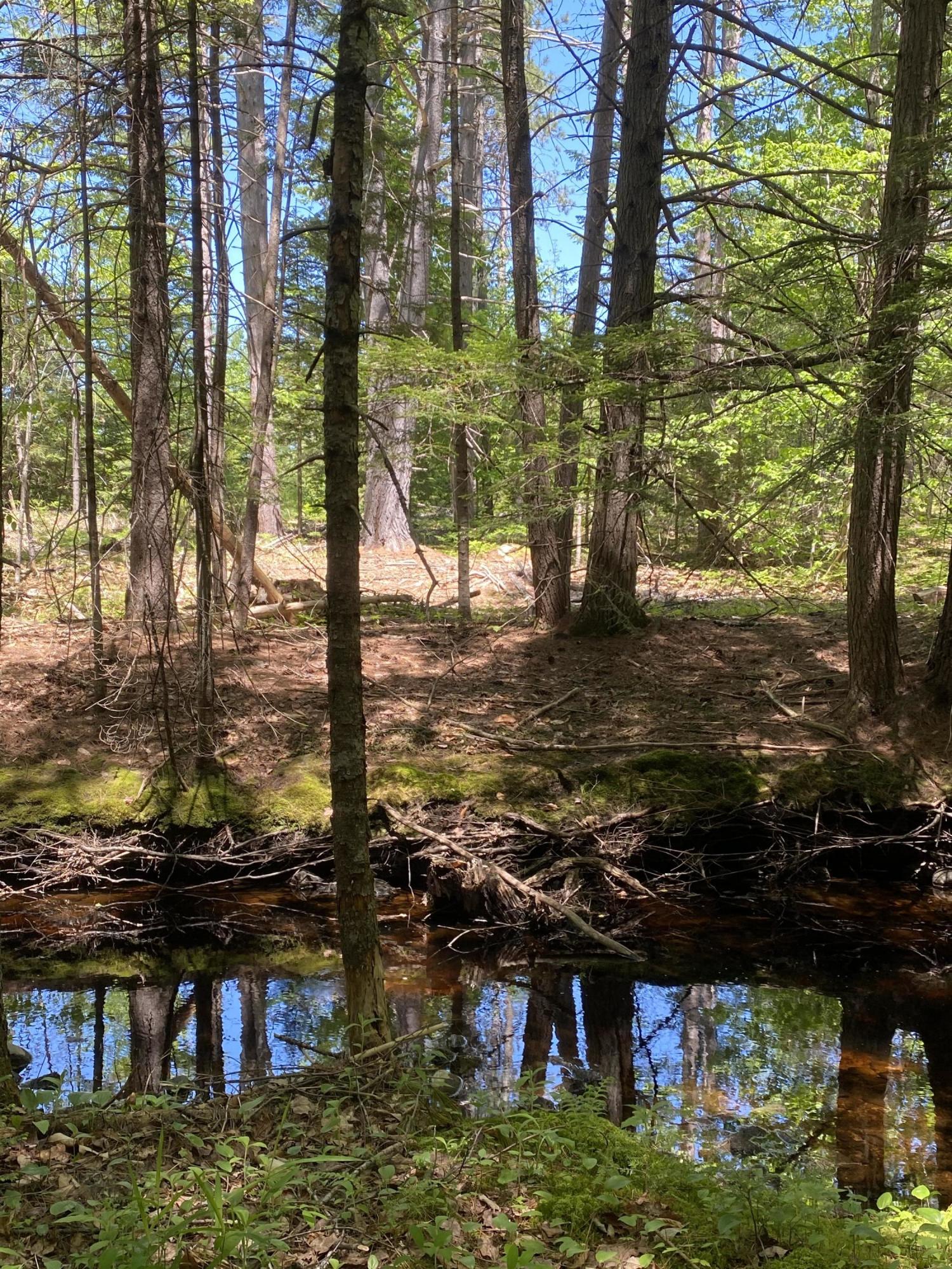 Lot 10 Norway Road Harrison, ME 04040 - Photo 35 of 41 0F85C6AE-1B82-4E36-8A13-21B49CFE88D8